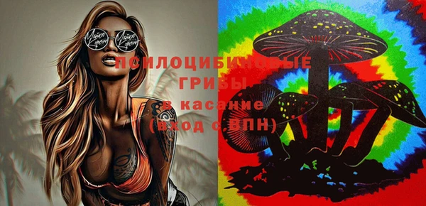 каннабис Алзамай