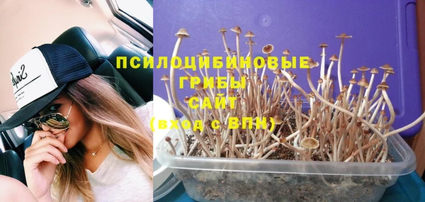 прущие крисы Алексин