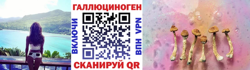 где продают   дарк нет клад  Псилоцибиновые грибы мухоморы  Ленинск-Кузнецкий 