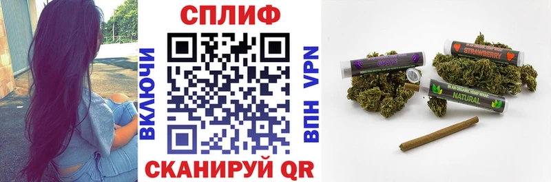 Конопля White Widow  как найти   Ленинск-Кузнецкий 